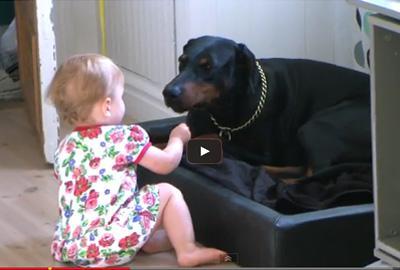 Αστείο βίντεο: Όταν ένα μωρό παίζει με τον σκύλο του!